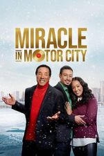 Watch Miracle in Motor City Primewire