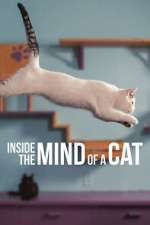 Watch Inside the Mind of a Cat Primewire