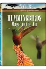 Watch Hummingbirds Magic in the Air Primewire