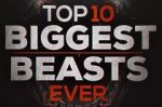 Watch Top 10 Biggest Beasts Ever Primewire
