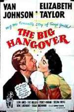 Watch The Big Hangover Primewire