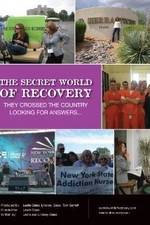 Watch The Secret World of Recovery Primewire