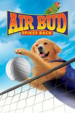 Watch Air Bud: Spikes Back Primewire
