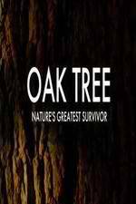 Watch Oak Tree Natures Greatest Survivor Primewire