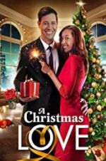 Watch A Christmas Love Primewire