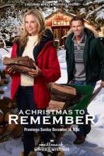 Watch A Christmas to Remember Primewire