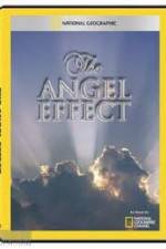 Watch National Geographic Explorer - The Angel Effect Primewire
