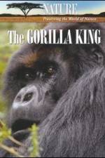 Watch Nature The Gorilla King Primewire