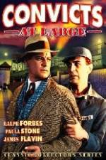 Watch Convicts at Large Primewire