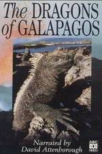 Watch The Dragons of Galapagos Primewire