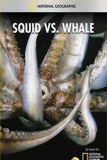 Watch National Geographic Wild - Squid Vs Whale Primewire