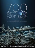 Watch 700 requins dans la nuit Primewire