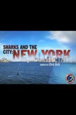 Watch Sharks and the City: New York Primewire