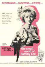 Watch The Small World of Sammy Lee Primewire