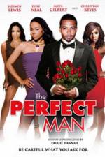 Watch The Perfect Man Primewire