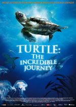 Watch Turtle: The Incredible Journey Primewire
