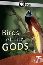 Watch Birds Of The Gods Primewire
