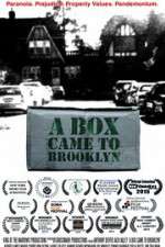 Watch A Box Came to Brooklyn Primewire