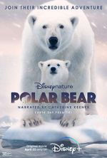 Watch Polar Bear Primewire