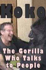 Watch Koko: The Gorilla Who Talks to People Primewire