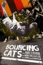 Watch Bouncing Cats Primewire