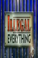 Watch Illegal Everything 2012 Primewire