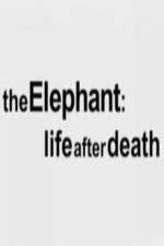 Watch The Elephant - Life After Death Primewire