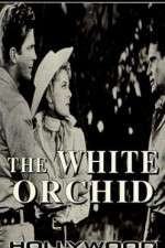 Watch The White Orchid Primewire