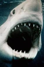 Watch Sharkmania: The Top 15 Biggest Baddest Bloodiest Bites Primewire