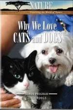 Watch Why We Love Cats And Dogs Primewire