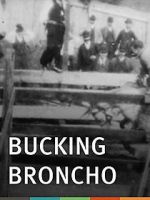 Watch Bucking Broncho Primewire