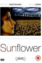 Watch Sunflower Primewire
