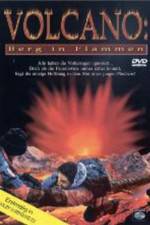 Watch Volcano: Fire on the Mountain Primewire
