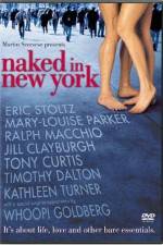 Watch Naked in New York Primewire