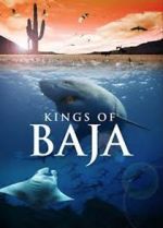 Watch Kings of Baja Primewire