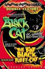 Watch The Black Cat Primewire