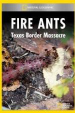 Watch National Geographic Fire Ants: Texas Border Massacre Primewire