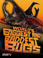 Watch World\'s Biggest and Baddest Bugs Primewire