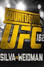 Watch Countdown To UFC 162 Primewire