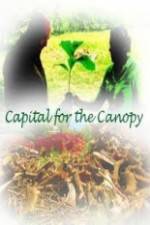 Watch Capital for the Canopy Primewire