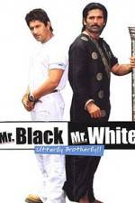 Watch Mr White Mr Black Primewire