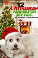 Watch 12 Christmas Wishes For My Dog Primewire