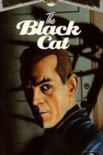 Watch The Black Cat Primewire