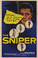 Watch The Sniper Primewire