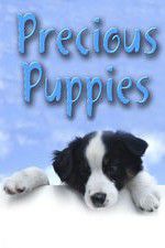 Watch Precious Puppies Primewire