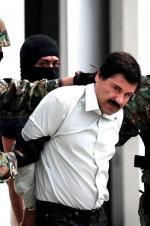 Watch The Rise and Fall of El Chapo Primewire