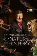Watch Fantastic Beasts: A Natural History Primewire