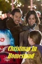 Watch Christmas in Homestead Primewire