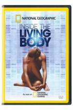 Watch National Geographic The Incredible Human Body Primewire