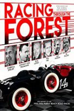 Watch Racing Through the Forest Primewire